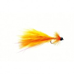 Taddy Orange
