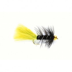 Tadpole Viva Gold