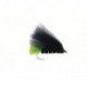 Viva Marabou