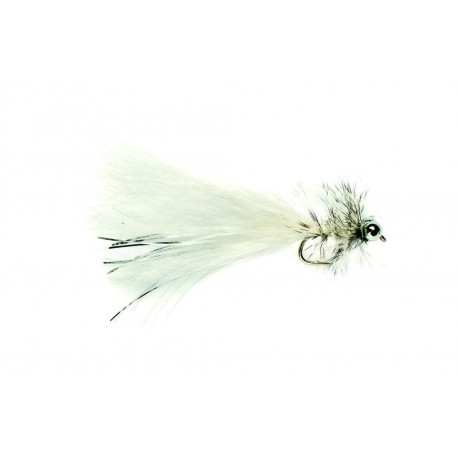 White Bead Eye