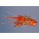 Whitlocks Nearnuff Crayfish Orange