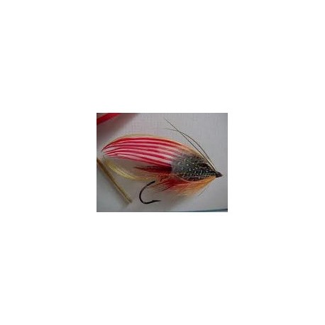 American Flag Salmon