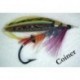 Coiner