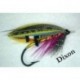 Dixon