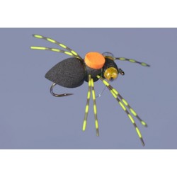 Whitlocks Sponge Spider