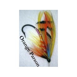 Orange Parson