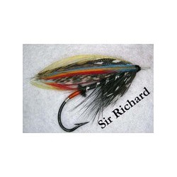 Sir Richard