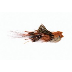 Bearded Wonder Brown