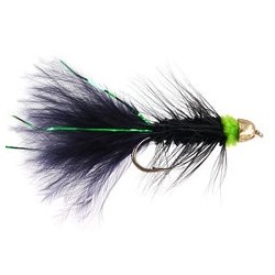 Black Green Wb Conehead