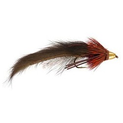 Brown Competition Zuddled Muddler