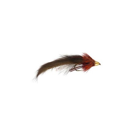 Brown Competition Zuddled Muddler