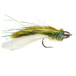 Clarkes Rat Olive