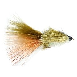 Coffeys Ch Sparkle Minnow Sculpin