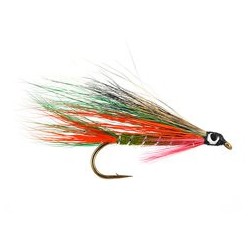 Little Brook Trout