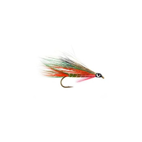 Little Brook Trout