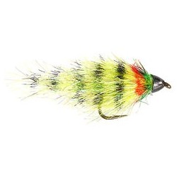 Petras Yellow Striped Body