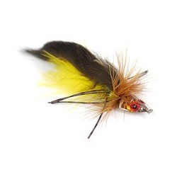 Trinas Big Head Todd Brown Yellow