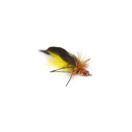 Trinas Big Head Todd Brown Yellow