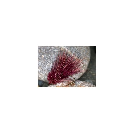 Cc Sedge Hog