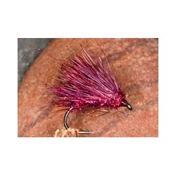 Claret Spar Hog