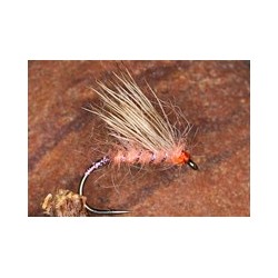 Coral Half Hog