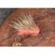 Coral Ice Hog