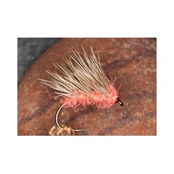 Coral Ice Hog