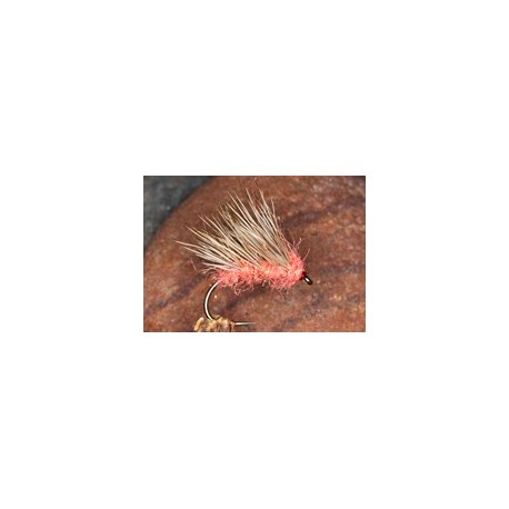 Coral Ice Hog