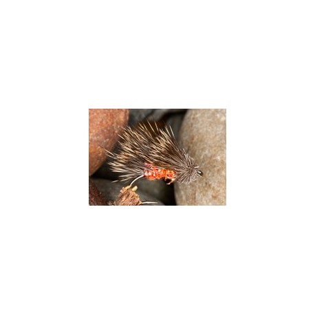 Coral Ice Sedge Hog