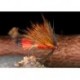 Fiery Brown Bumble Hog