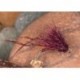 Half Hog Holo Hoppe Claret