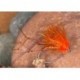 Half Hog Holo Hopper Orange