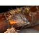 Hares Ear Bumble Hog