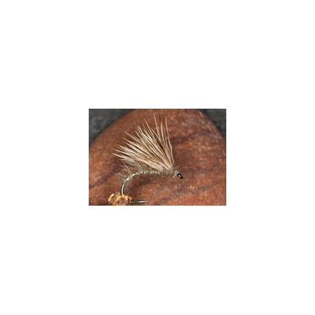 Hares Ear Half Hog