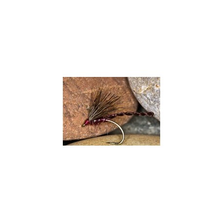 Hatch Hog Claret
