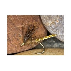 Hatch Hog Hares Ear