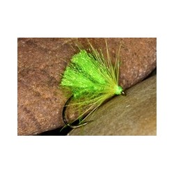 Hot Hog Lime