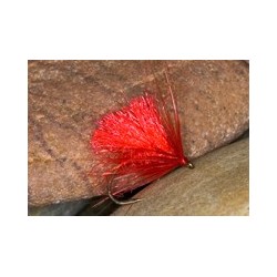 Hot Hogs Carlet