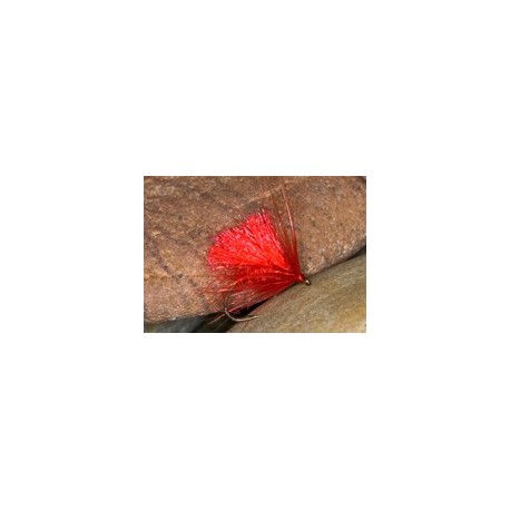 Hot Hogs Carlet