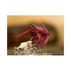 Leggy Claret Bibio