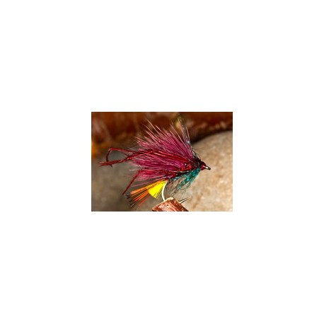 Leggy Claret Bumble Hog