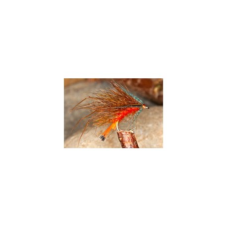 Leggy Fiery Brown Bumble Hog