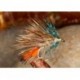 Leggy Hares Ear Bumble Hog