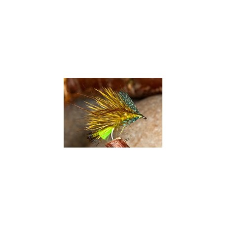 Leggy Olive Bumble Hog