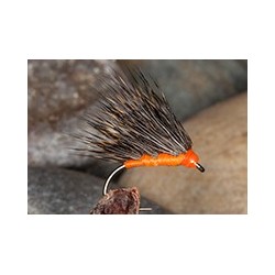 Madeira Hog