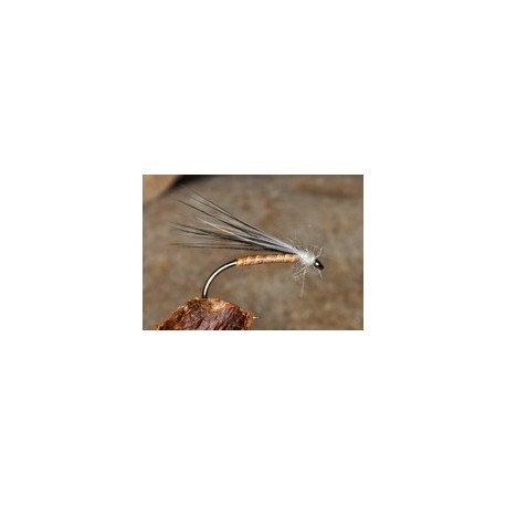 Midge Hog Caramel