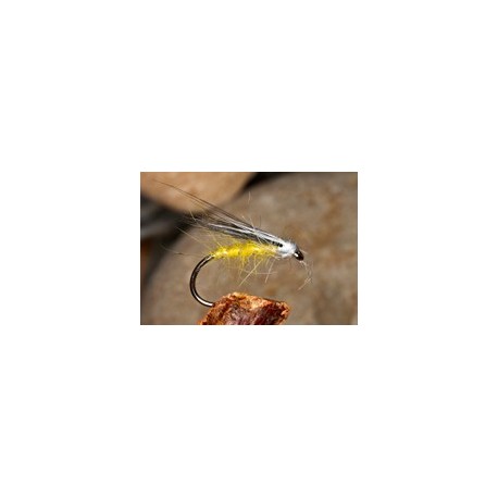 Midge Hog Primrose