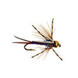 B.H. Montana Prince