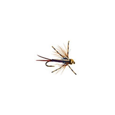 B.H. Montana Prince