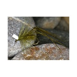 Olive Popper Hopper